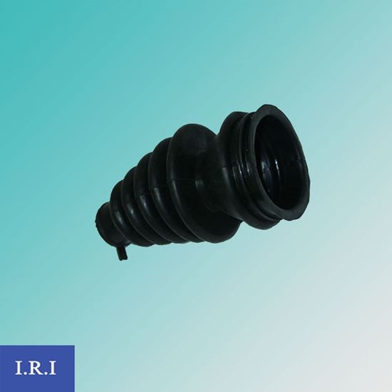 خرطومی زیردیگ کنود – بکو – آرچلیک_656e56db52fc9.jpeg خرطومی زیردیگ کنود - بکو - آرچلیک - Image 1